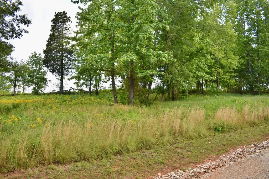 56 Blue Heron Bluff Harriman TN 37748
