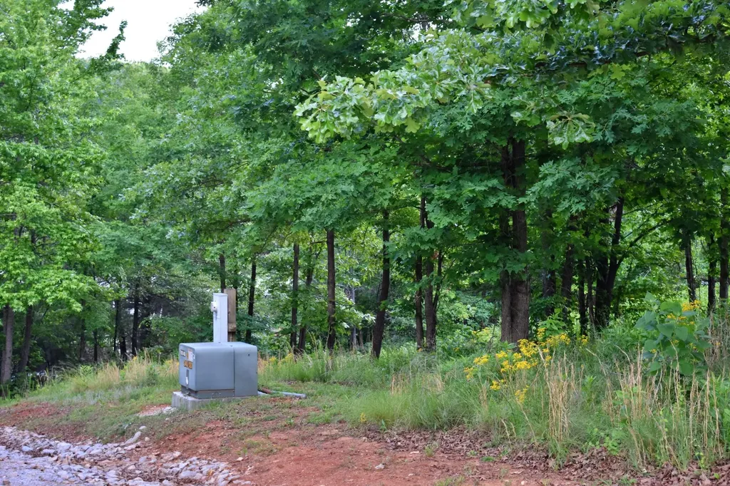 56 Blue Heron Bluff Harriman TN 37748