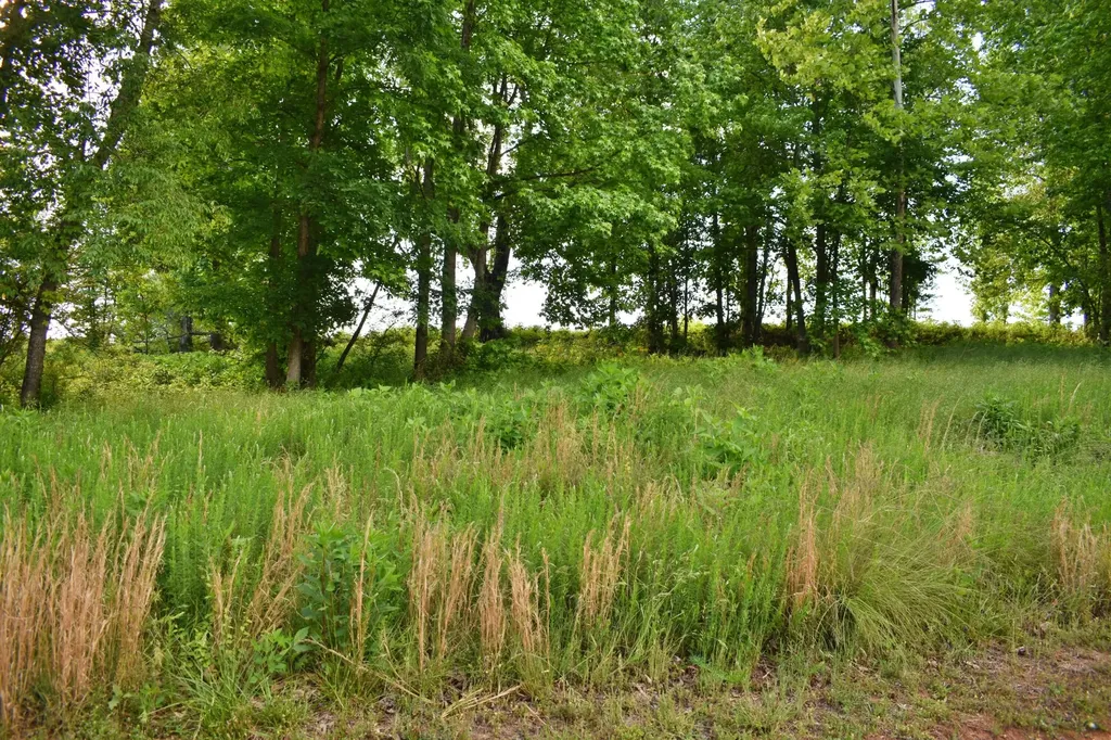 56 Blue Heron Bluff Harriman TN 37748