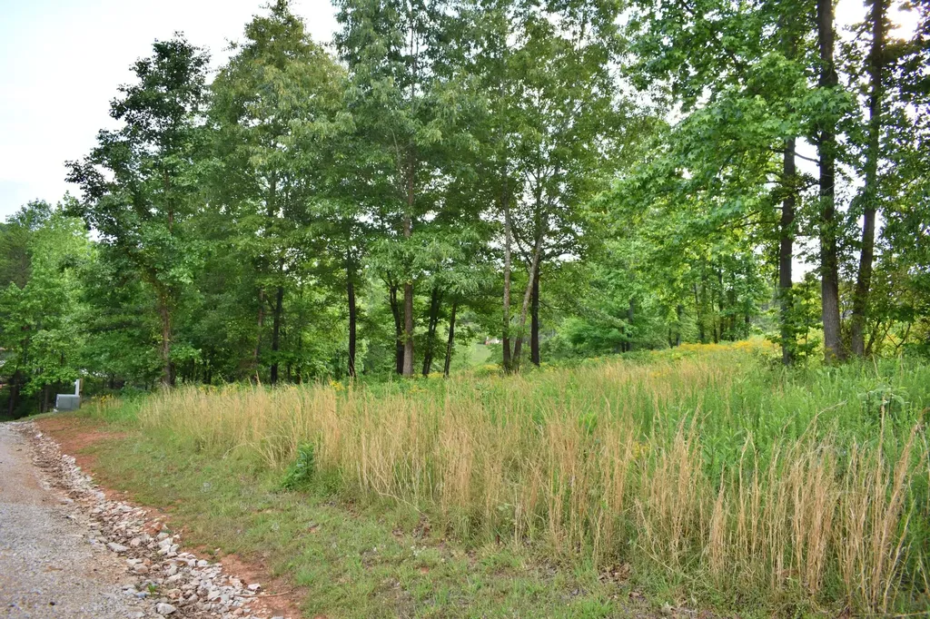56 Blue Heron Bluff Harriman TN 37748