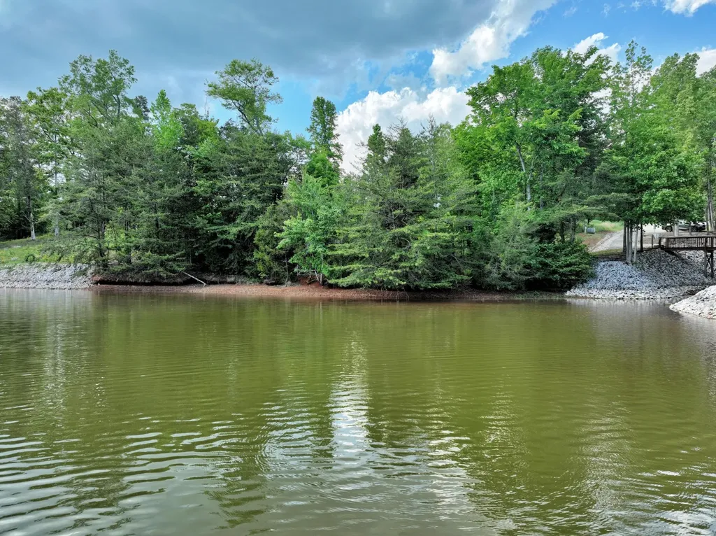 56 Blue Heron Bluff Harriman TN 37748