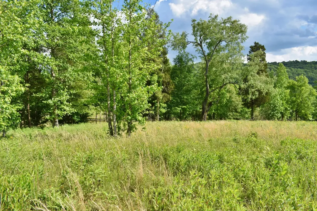 56 Blue Heron Bluff Harriman TN 37748