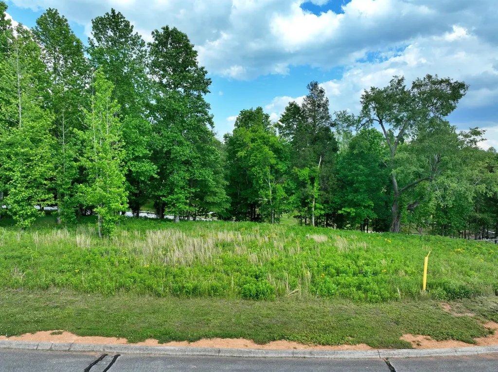 56 Blue Heron Bluff Harriman TN 37748