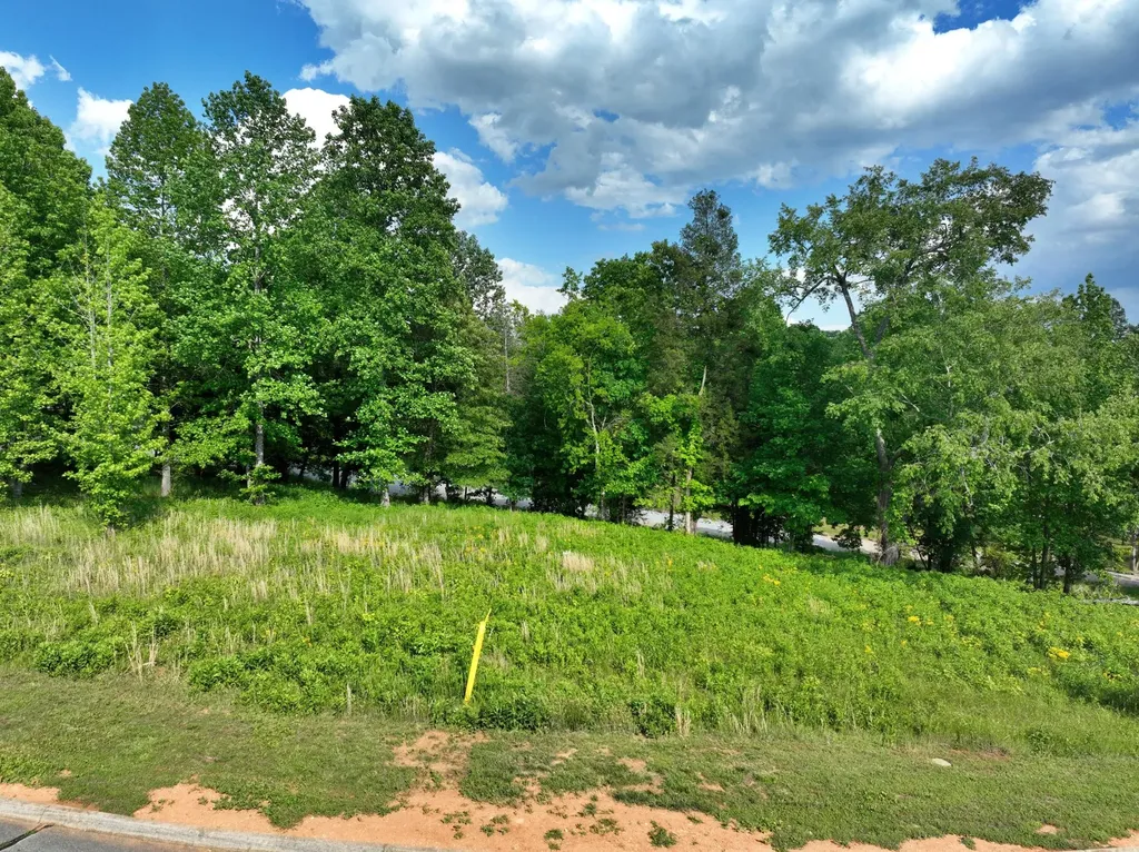 56 Blue Heron Bluff Harriman TN 37748