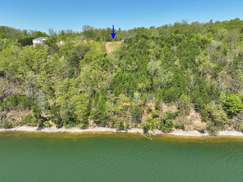 265 River Run Trail Spring City TN 37381