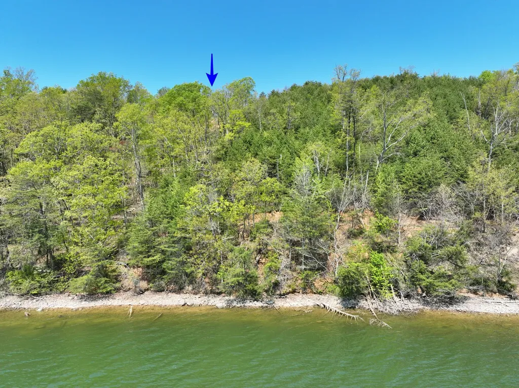 265 River Run Trail Spring City TN 37381