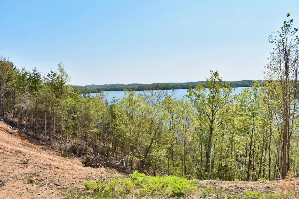 265 River Run Trail Spring City TN 37381