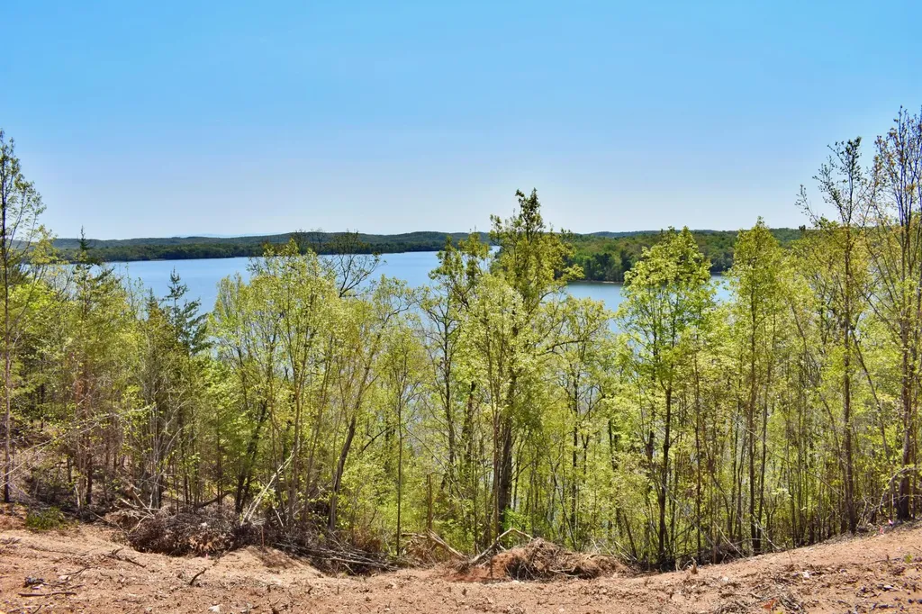 265 River Run Trail Spring City TN 37381