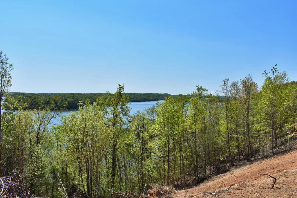 265 River Run Trail Spring City TN 37381