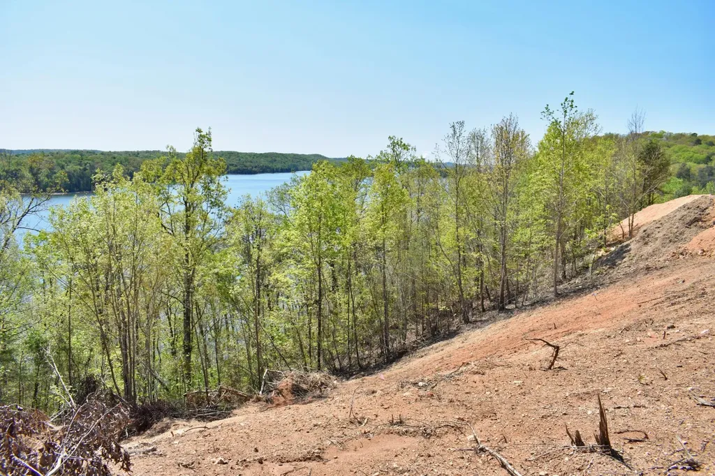 265 River Run Trail Spring City TN 37381