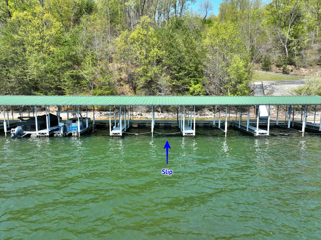 265 River Run Trail Spring City TN 37381