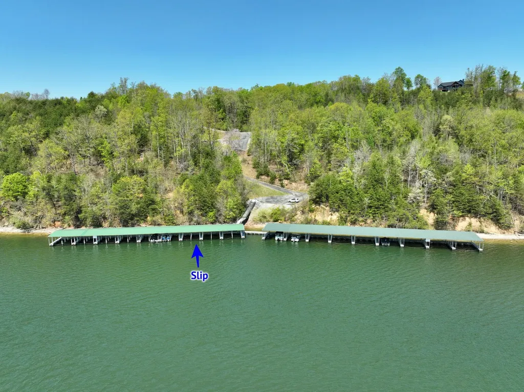265 River Run Trail Spring City TN 37381