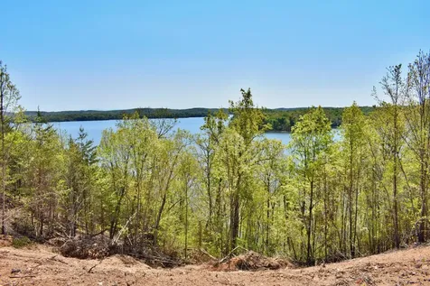 265 River Run Trail Spring City TN 37381