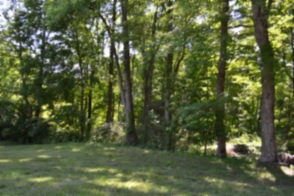 318 Rock Springs Road Celina TN 38551
