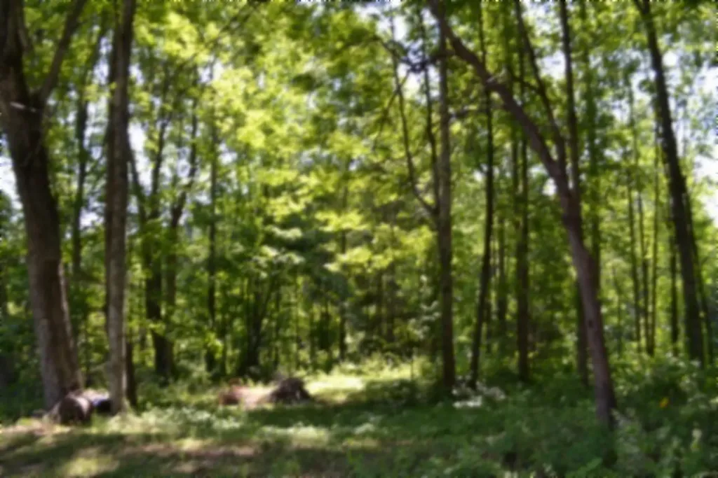 318 Rock Springs Road Celina TN 38551