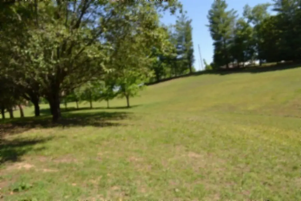 318 Rock Springs Road Celina TN 38551
