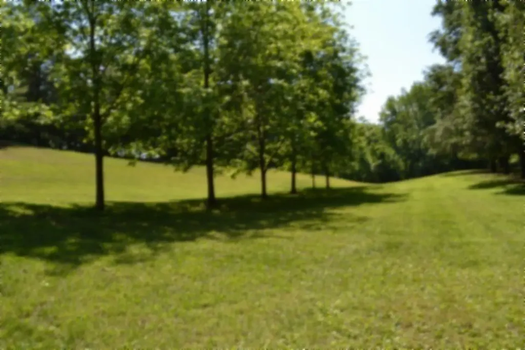 318 Rock Springs Road Celina TN 38551