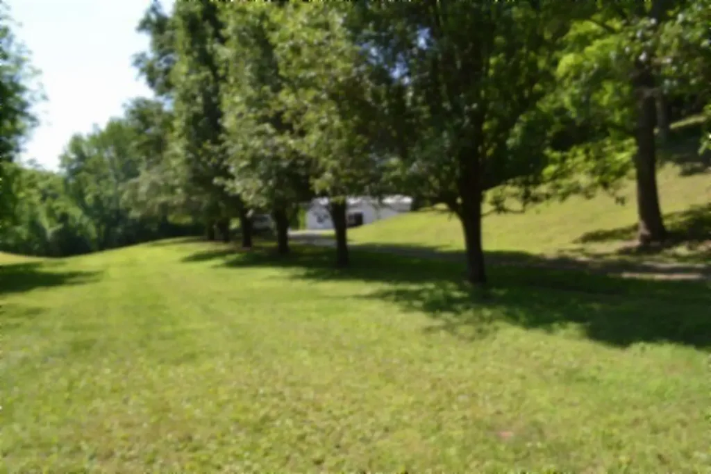 318 Rock Springs Road Celina TN 38551