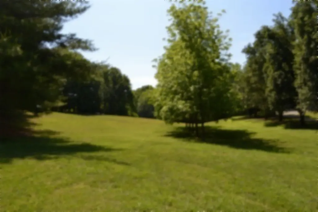 318 Rock Springs Road Celina TN 38551