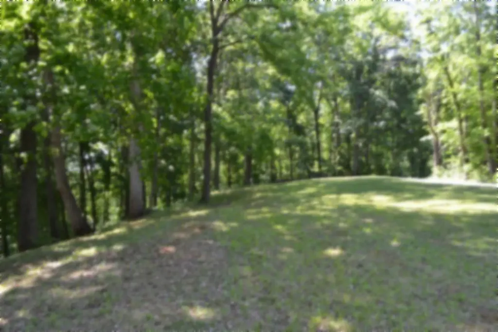 318 Rock Springs Road Celina TN 38551
