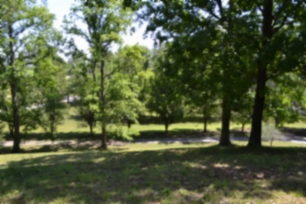 318 Rock Springs Road Celina TN 38551