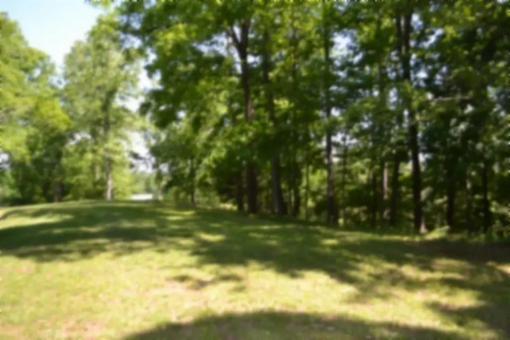 318 Rock Springs Road Celina TN 38551