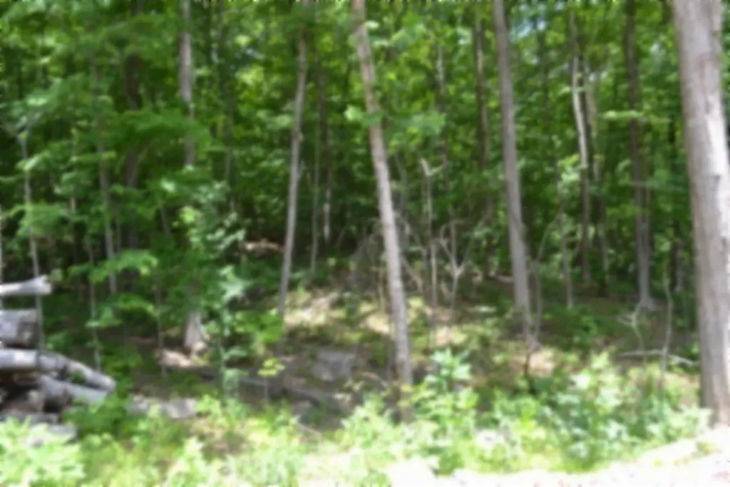 318 Rock Springs Road Celina TN 38551