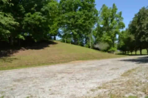 318 Rock Springs Road Celina TN 38551