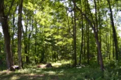 318 Rock Springs Road Celina TN 38551