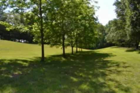 318 Rock Springs Road Celina TN 38551