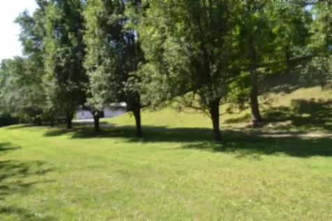 318 Rock Springs Road Celina TN 38551