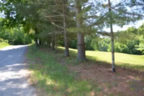 318 Rock Springs Road Celina TN 38551