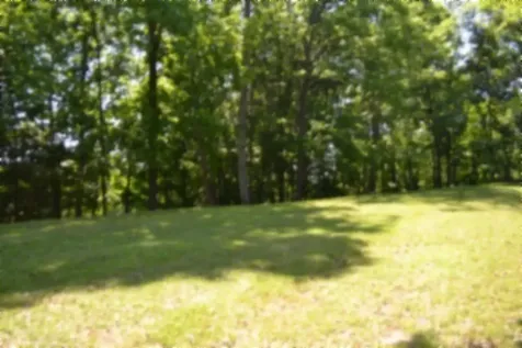 318 Rock Springs Road Celina TN 38551