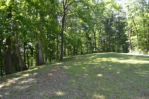 318 Rock Springs Road Celina TN 38551