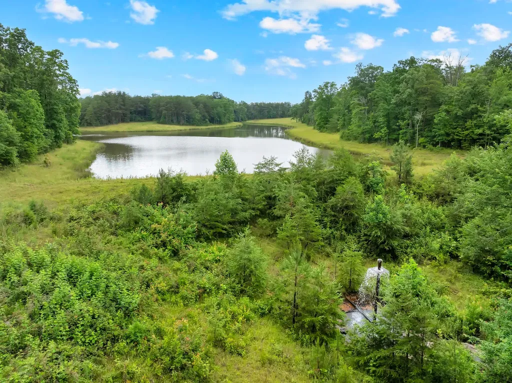 0 Saltzer Mountain Road West Spencer TN 38585