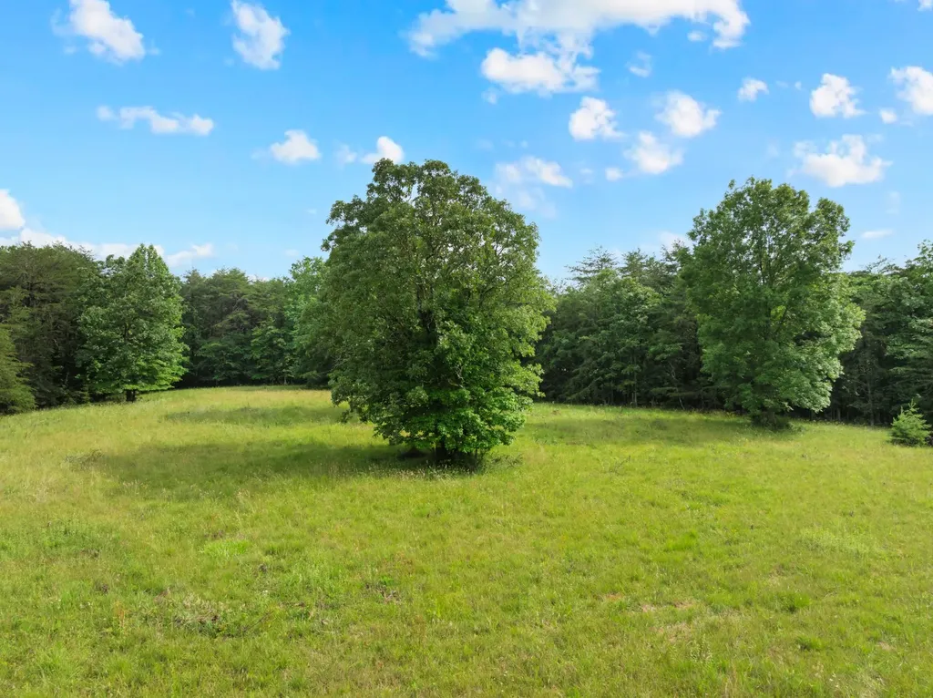 0 Saltzer Mountain Road West Spencer TN 38585