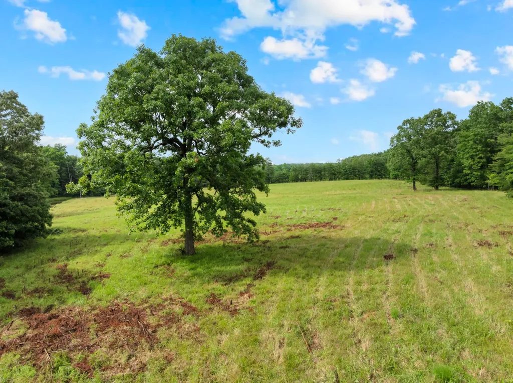0 Saltzer Mountain Road West Spencer TN 38585