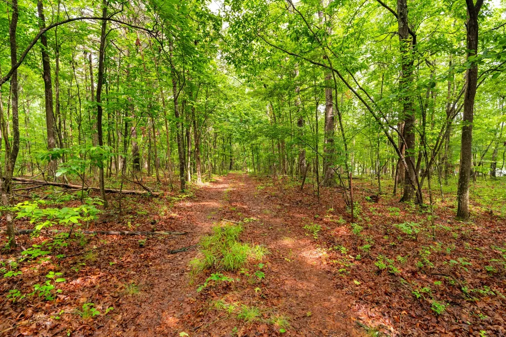 0 Saltzer Mountain Road West Spencer TN 38585