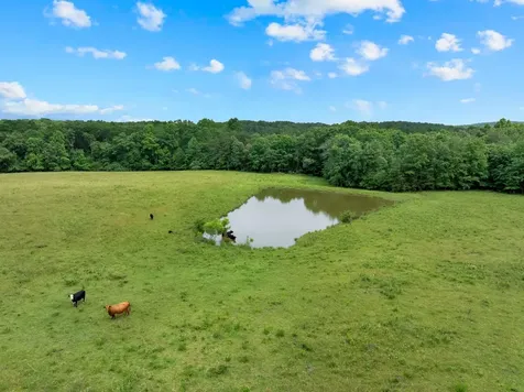0 Saltzer Mountain Road West Spencer TN 38585