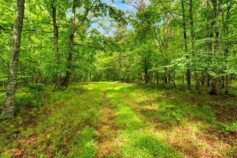 0 Saltzer Mountain Road West Spencer TN 38585