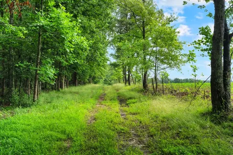 0 Saltzer Mountain Road West Spencer TN 38585