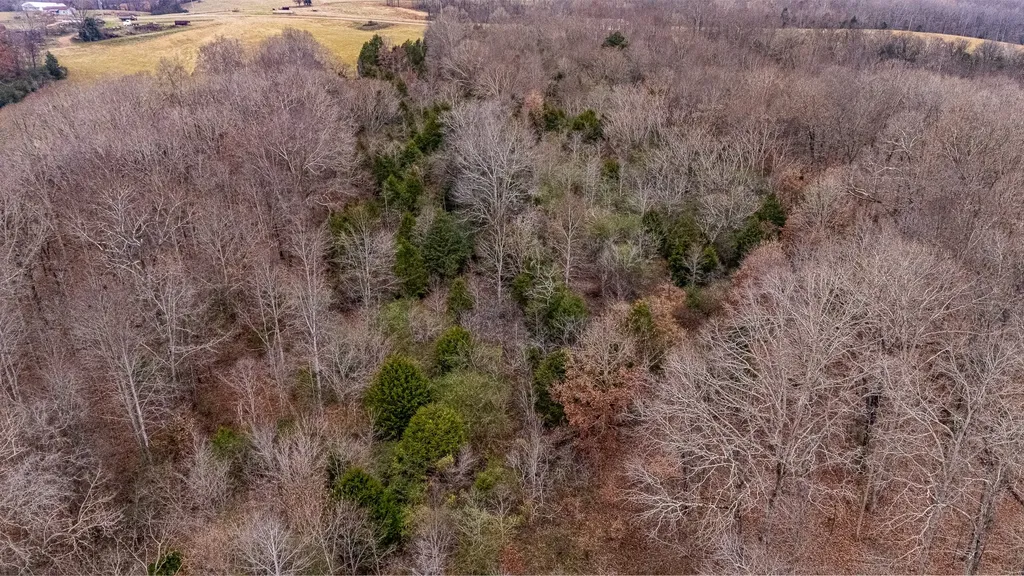 0 Waterloo Road Westpoint TN 38486