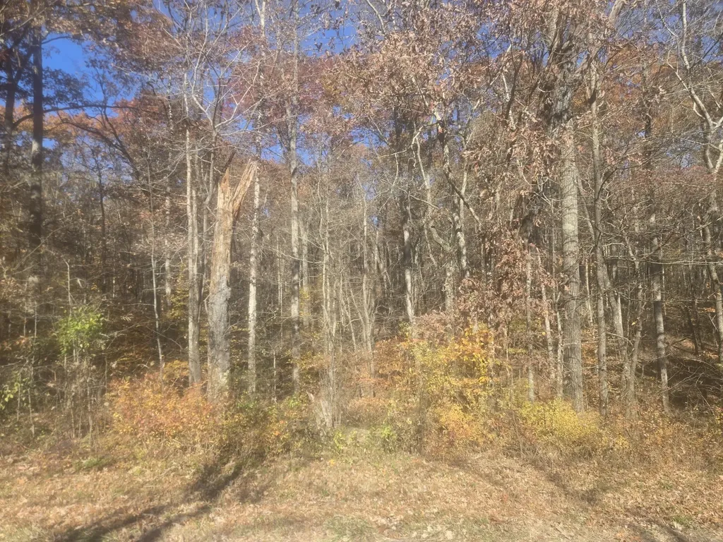 0 Waterloo Road Westpoint TN 38486