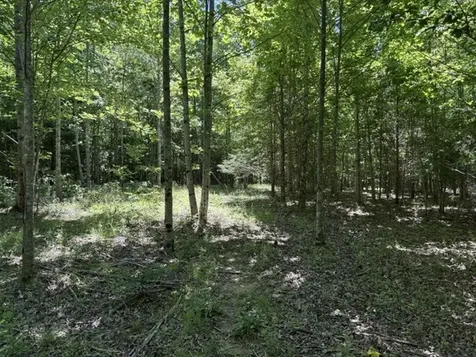 0 Wildwood Road Mcminnville TN 37110