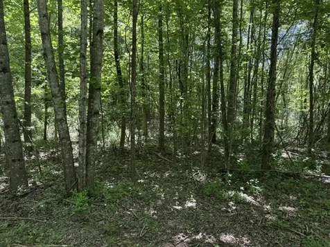 0 Wildwood Road Mcminnville TN 37110