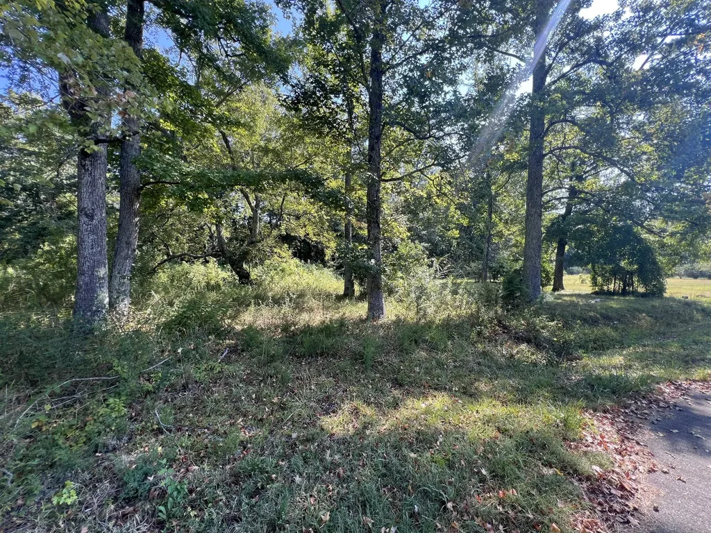 0 Longview Drive Camden TN 38320