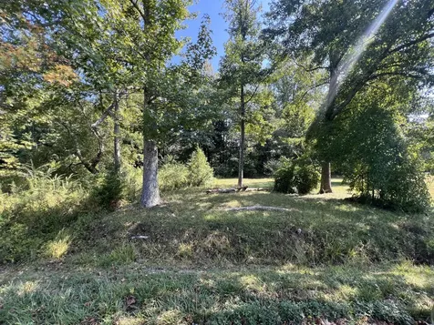 0 Longview Drive Camden TN 38320