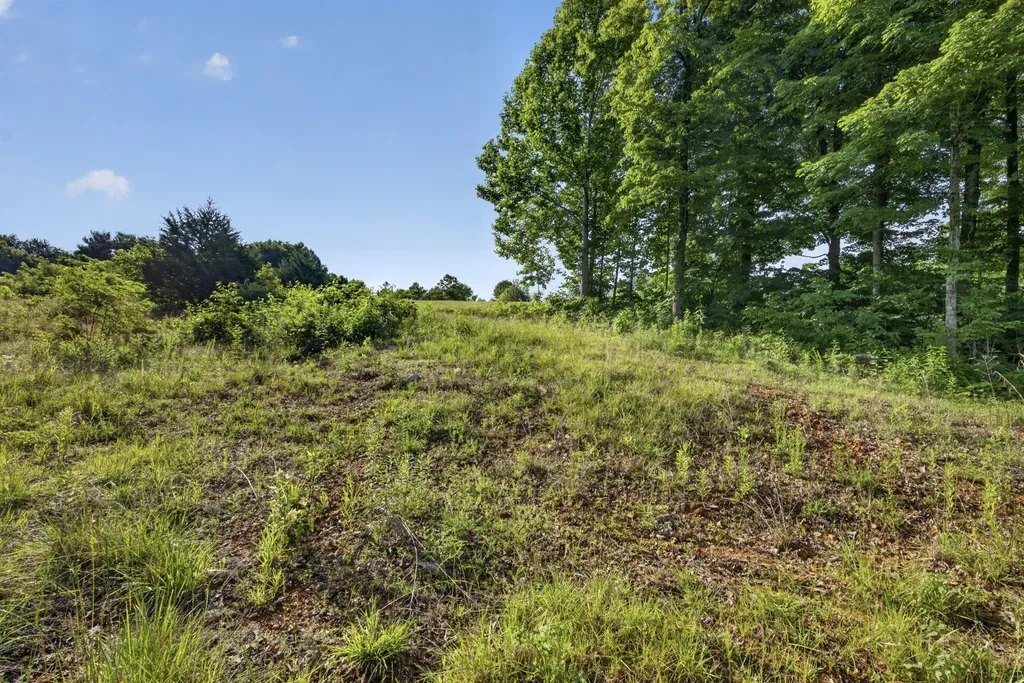 0 Hidden Cove Lane Allons TN 38541