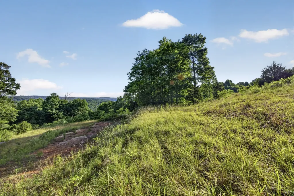 0 Hidden Cove Lane Allons TN 38541