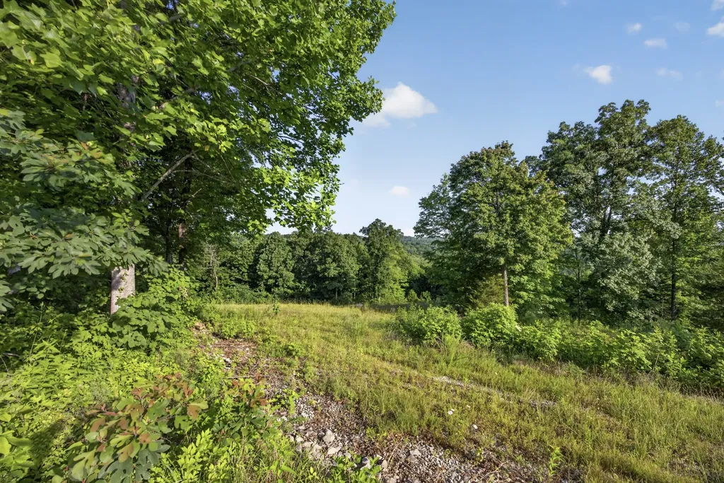 0 Hidden Cove Lane Allons TN 38541